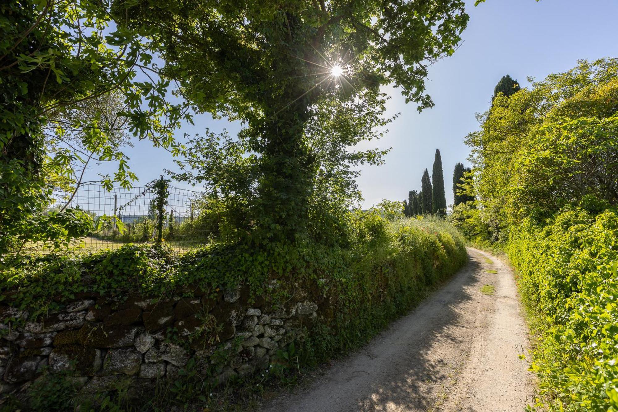 Vecchio Molino Gorone